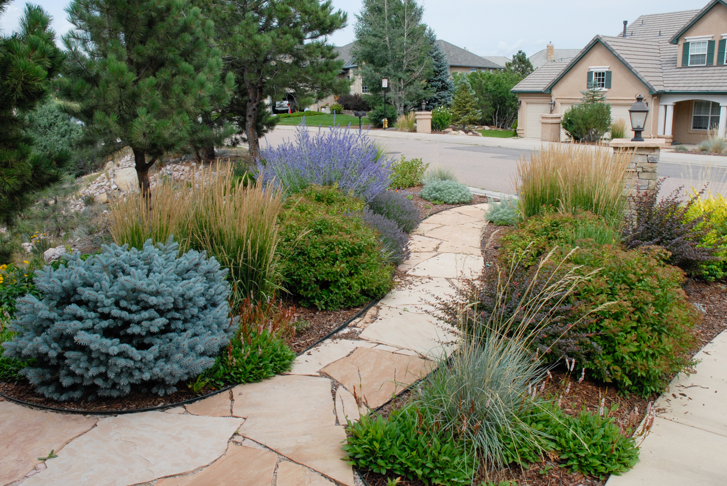 Exceptional Entrance